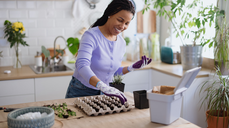 Woman starting seeds in kitchen