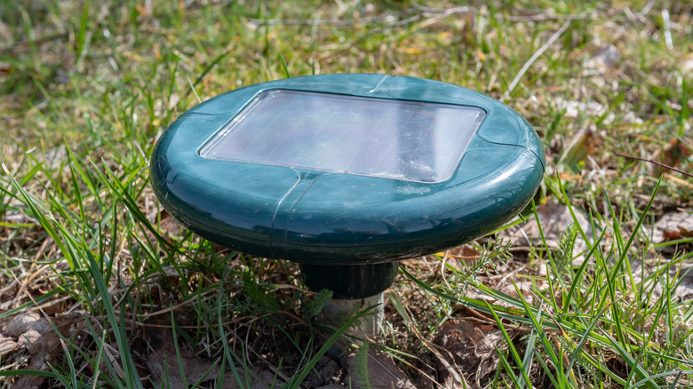 sonic repeller