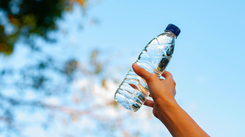 Person holding plastic water bottle toward sky