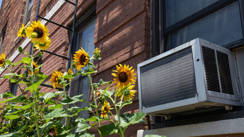 A window air-conditioning unit outside an old brick apartment building