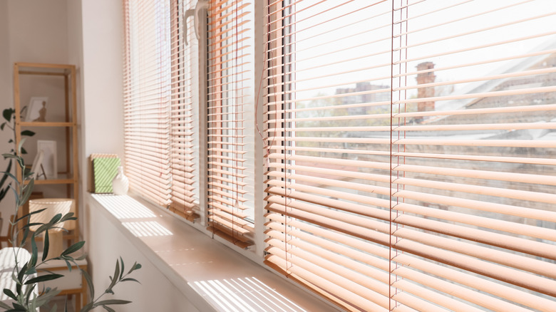 Windows with mini blinds