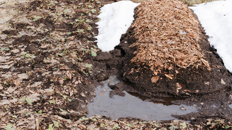 A pile of wet dirt and mulch due to melting snow