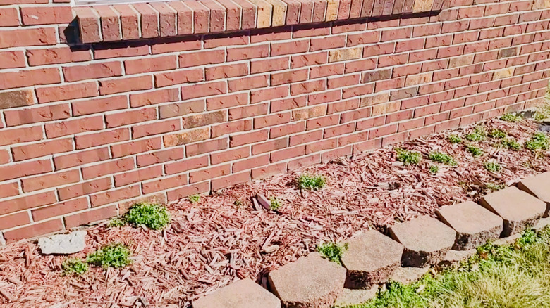 Never place organic mulch against the foundation of your house.