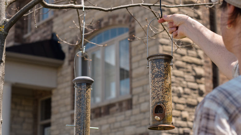 Woman hanging up two clean bird feeders on tree