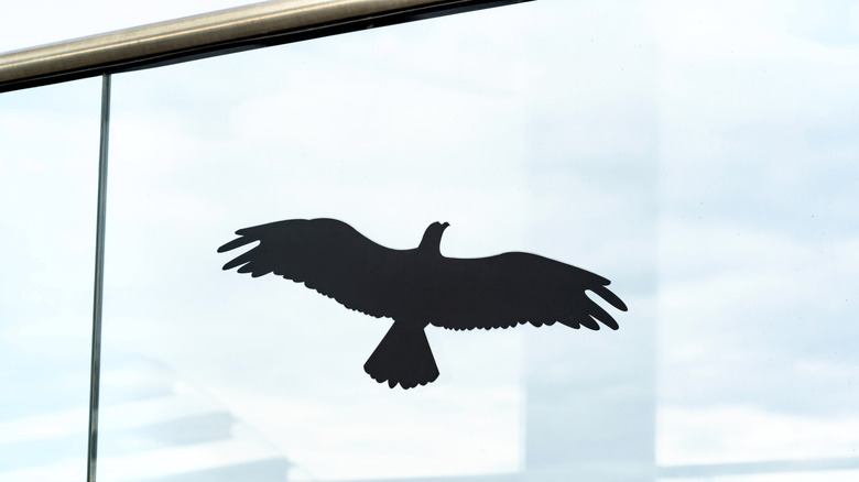 Bird shaped decal on glass window