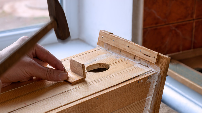Constructing a wooden bird house