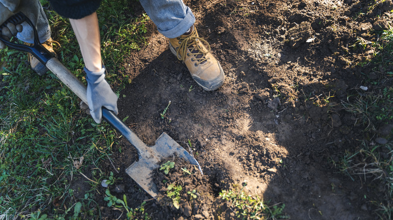 a person digging in the dirt with a shovel