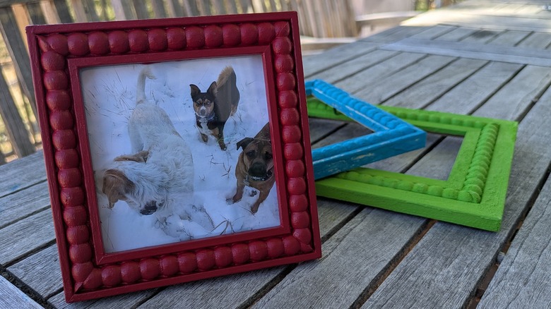 A picture of three dogs in a hand-painted Dollar Tree frame with badly-painted ones behind it