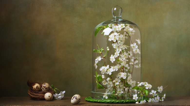 A glass cloche with slowers inside of it next to a collection of spotted eggs.