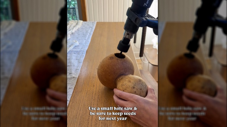 demonstrator drilling entrance hole into gourd