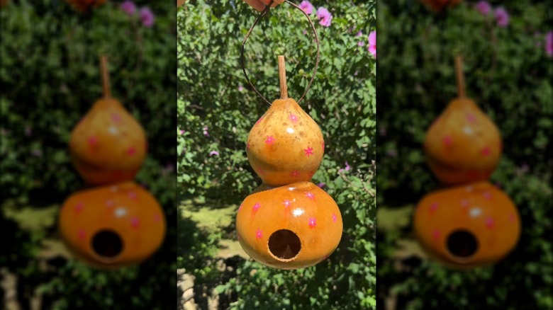 final look of gourd birdhouse design