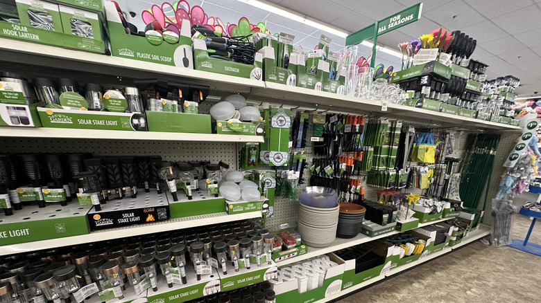 Dollar Tree's gardening aisle