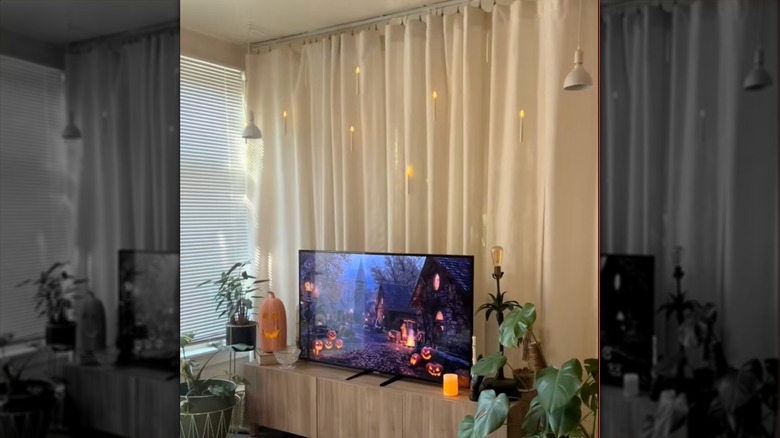 A curtain in a studio that's being used as a room divider