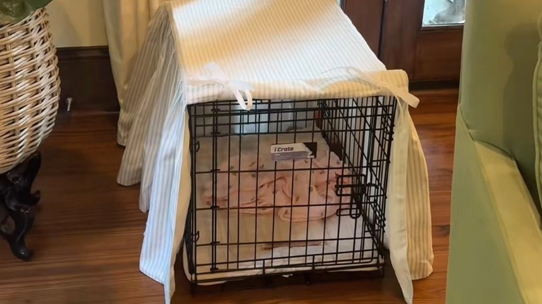 Blue and cream pinstriped ruffled cover on dog kennel in living room.