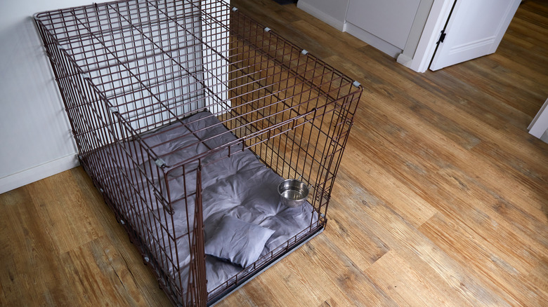 Metal dog crate sitting on a wooden floor.