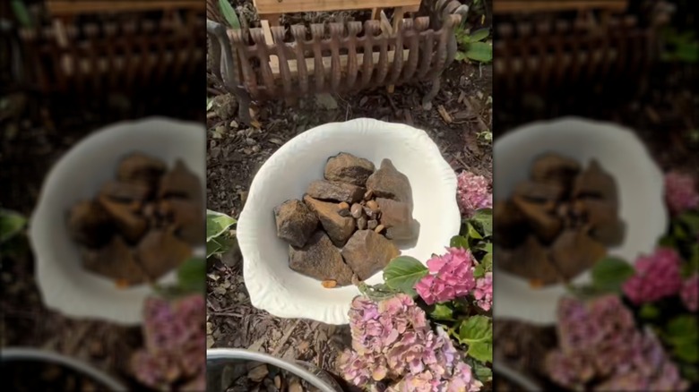 Screenshot of a DIY bird bath with a vintage white bowl