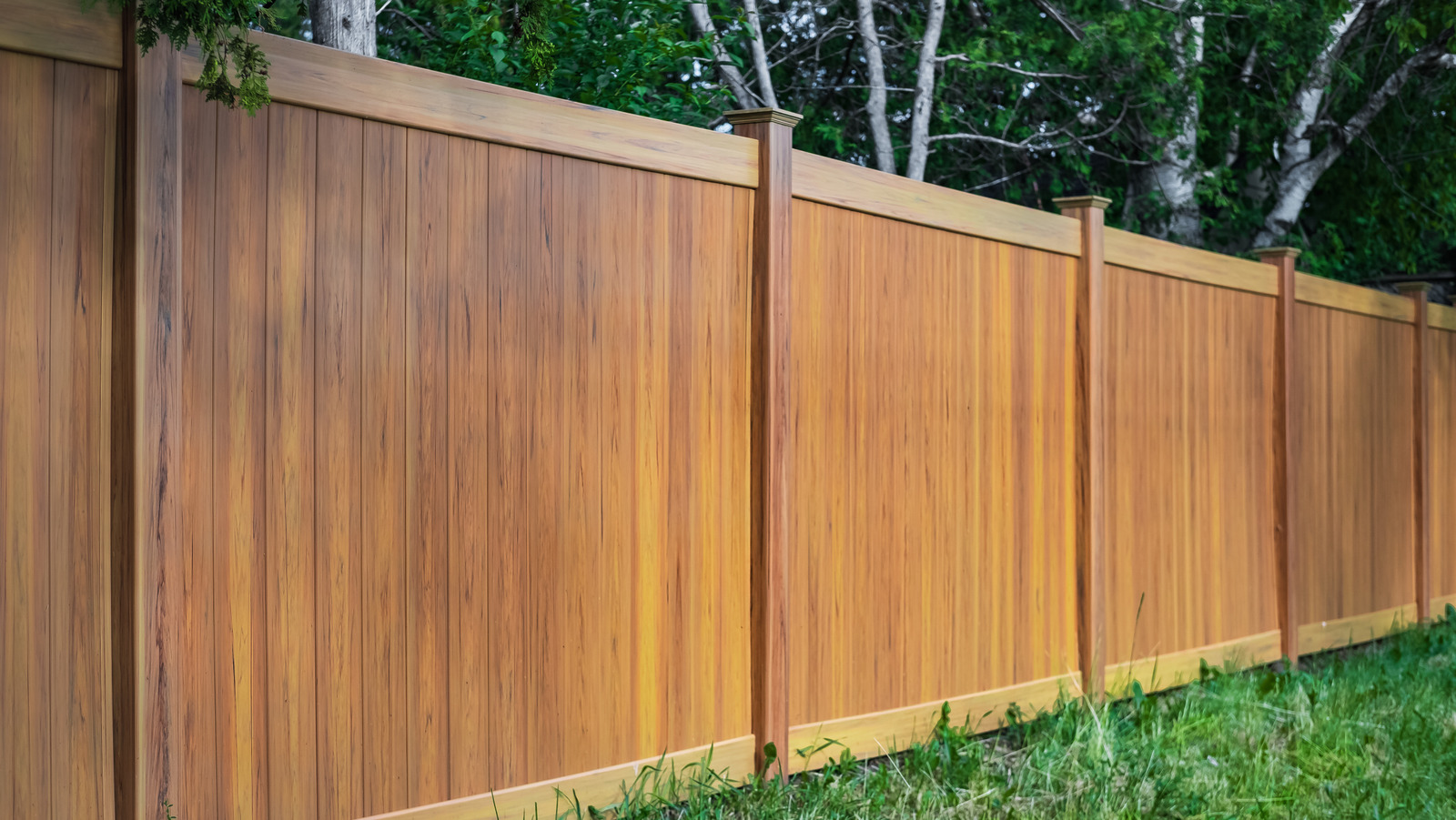 Comparing the Cost of Wood and Composite Fencing