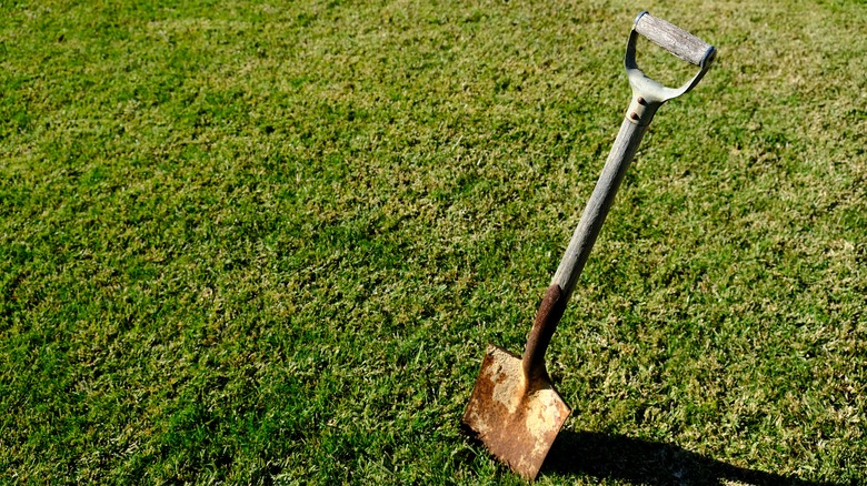 old wooden shovel in grass