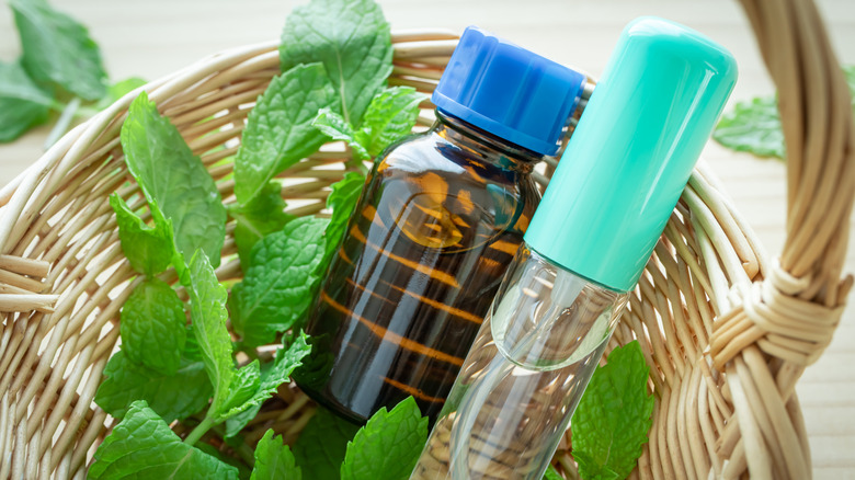 Peppermint oil repellent sprays in a basket
