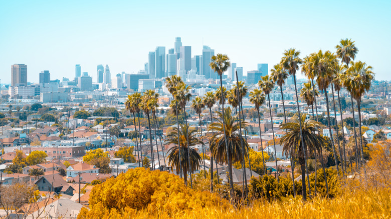 Panoramic view of the City of Los Angeles, California from a cliffside looking towards downtown core
