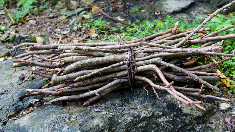 A bundle of sticks laying on the ground.