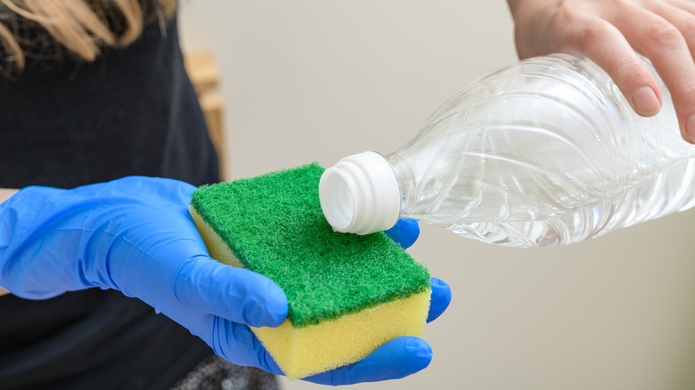 A person pouring white vinegar onto a sponge