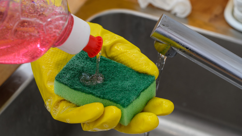 putting dish soap on sponge