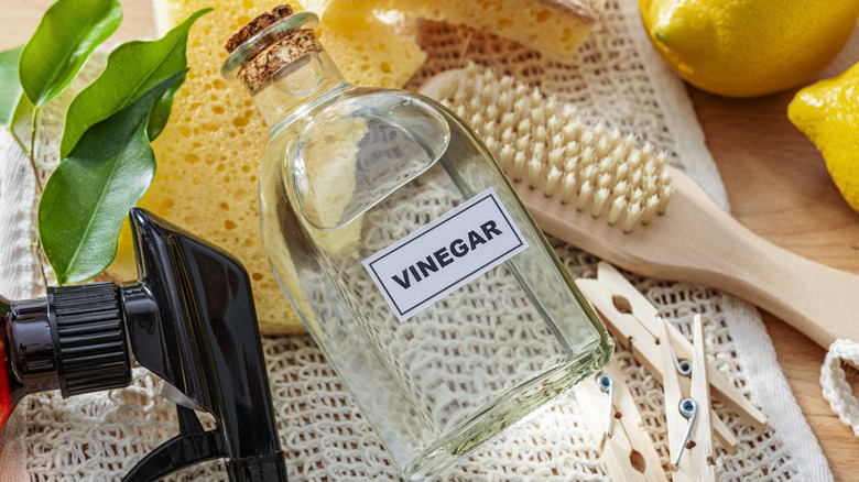 bottle of white vinegar on a table with brush and sponge