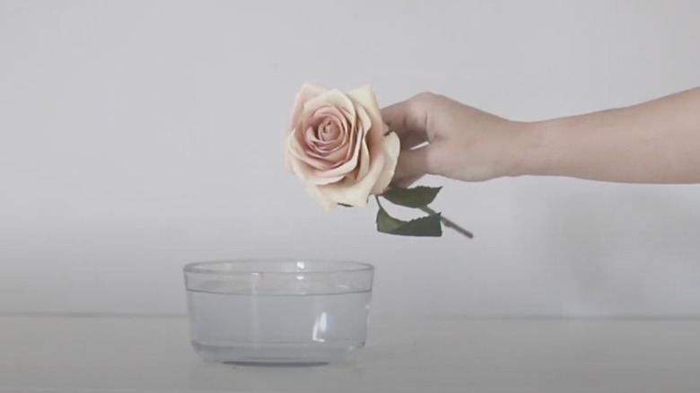 Hand holding fake rose above dish of water