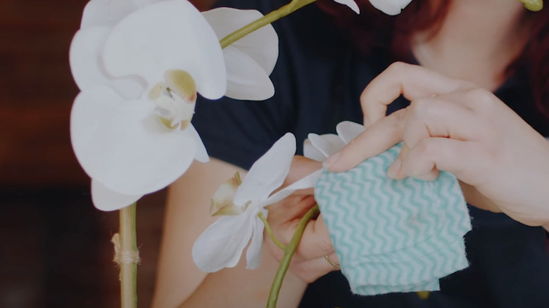 person wiping faux flower petals with cloth