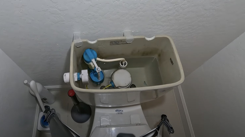 Toilet tank with mold growth