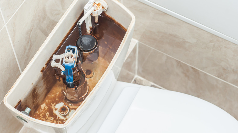 toilet tank with reddish stains