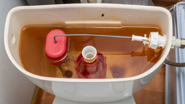 toilet tank with yellow water