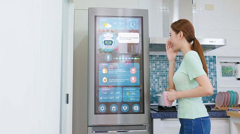 woman talking to smart fridge
