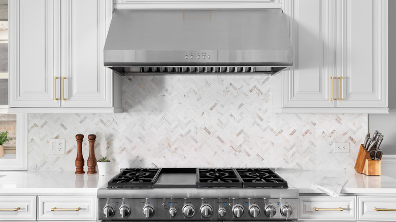 stainless steel gas stove and range hood
