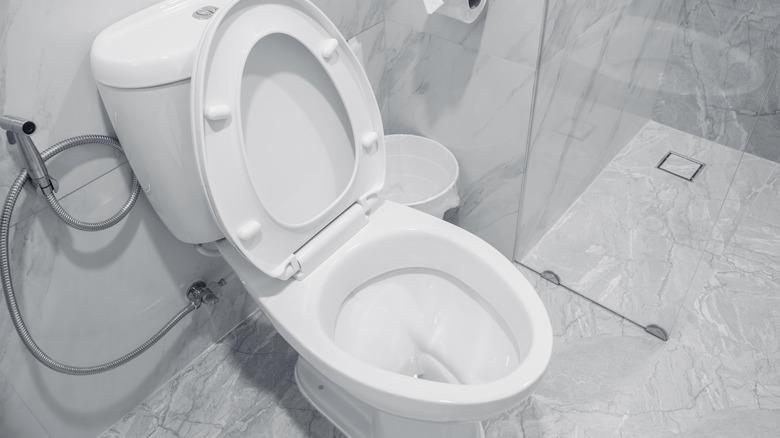 A toilet with a handheld sprayer nozzle attachment