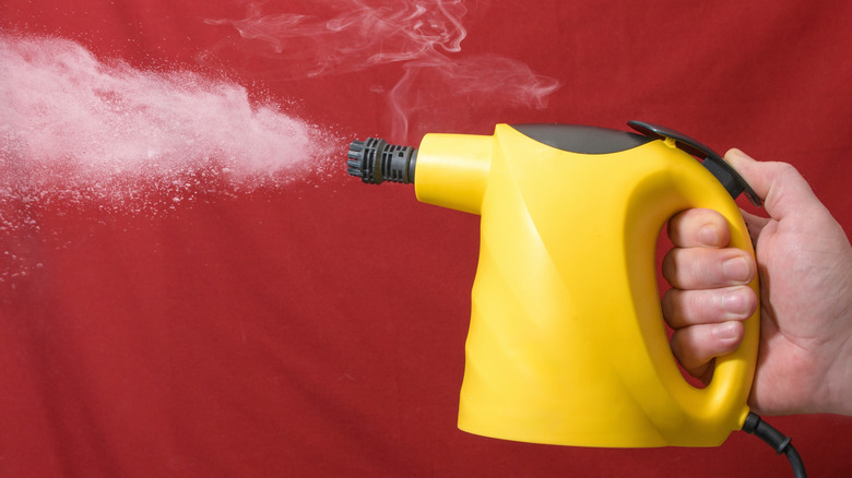 hand holding steam cleaner