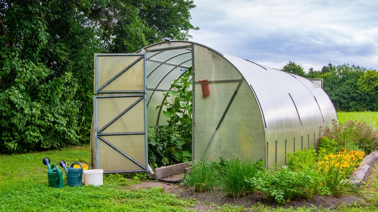 A garden greenhouse in field