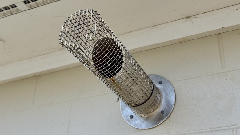 Exhaust vent on home with wildlife proof screen