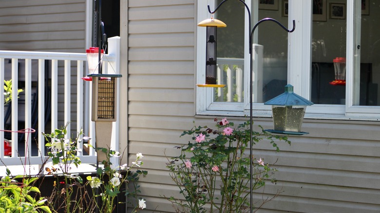 different bird feeders in backyard