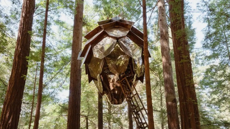 Pinecone treehouse