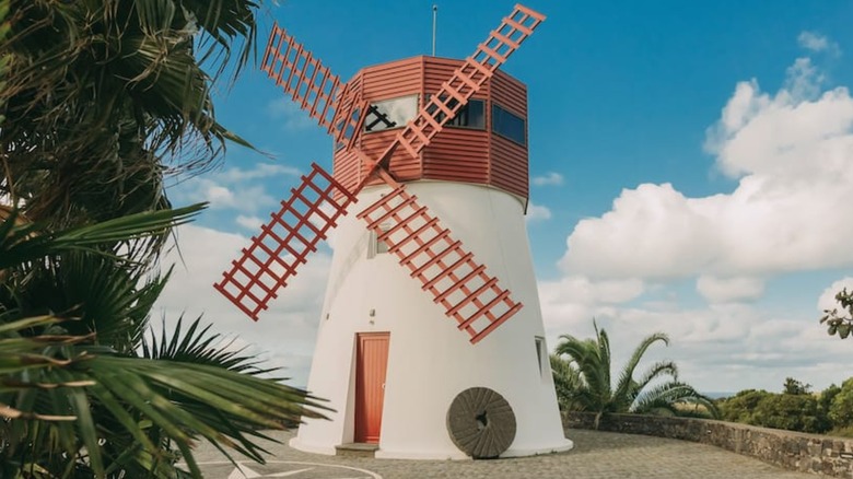 windmill house and palm trees