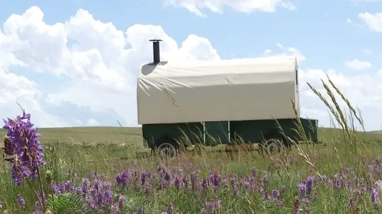 wagon on the ranch