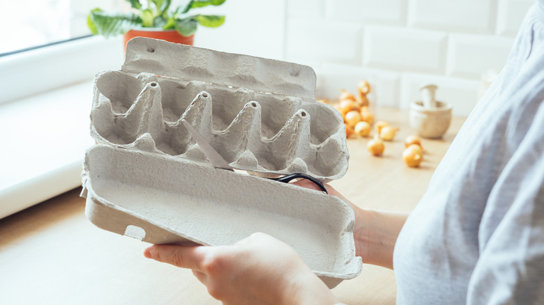 A person chops the lid off an empty paper egg carton using scissors.