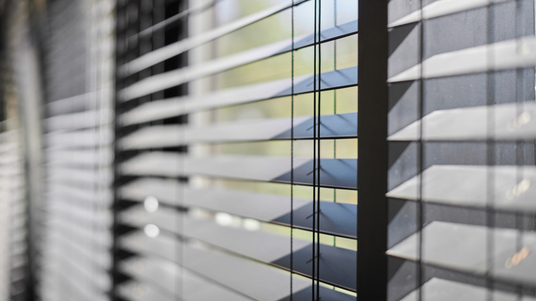 blinds on windows