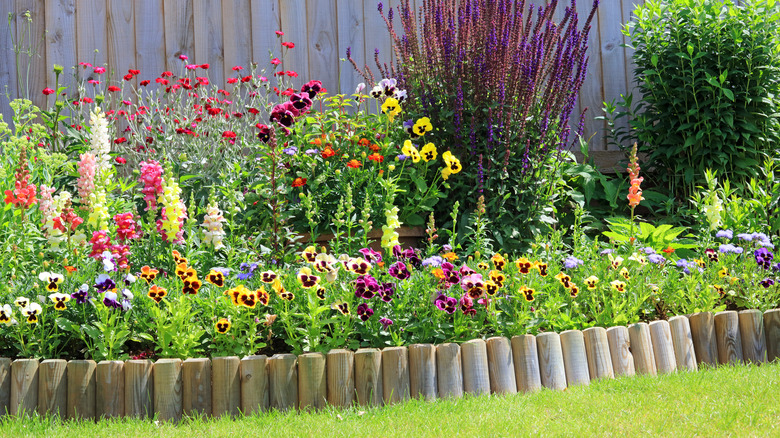 Wooden edging lining flower beds