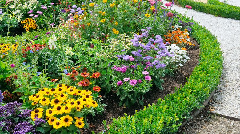 Bed of flowers along pathway