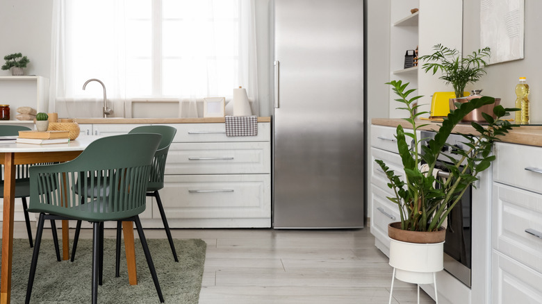 A sleek white kitchen with gray-green chairs and rug
