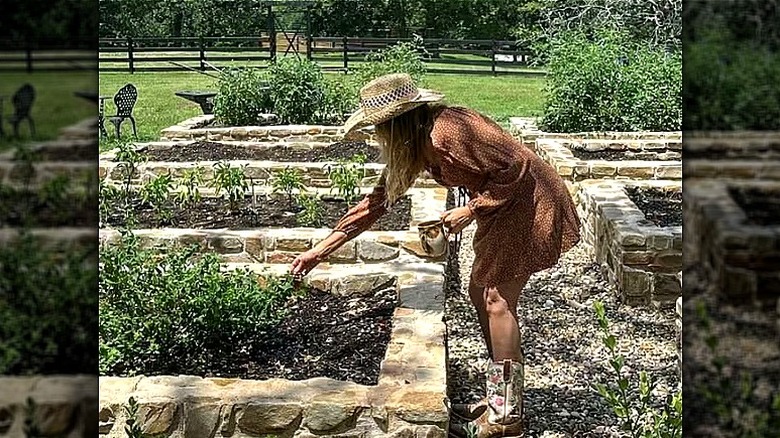 Woman tends to plants in stone raised beds