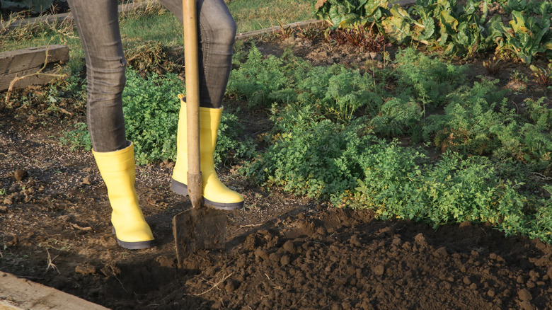 Person in boots pushing shovel